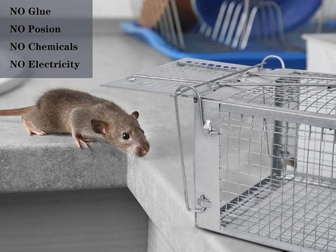 YJOO humane rat traps open view emphasizes catch and release readiness