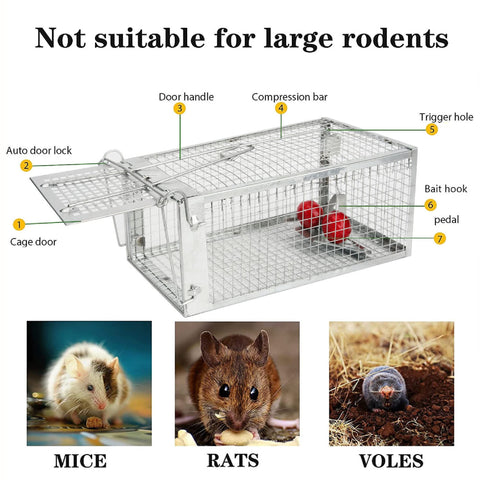 YJOO 2-pack humane rat traps side view compact design