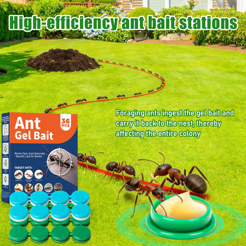 YJOO adhesive double-sided tape bait stations allow quick, clean placement.