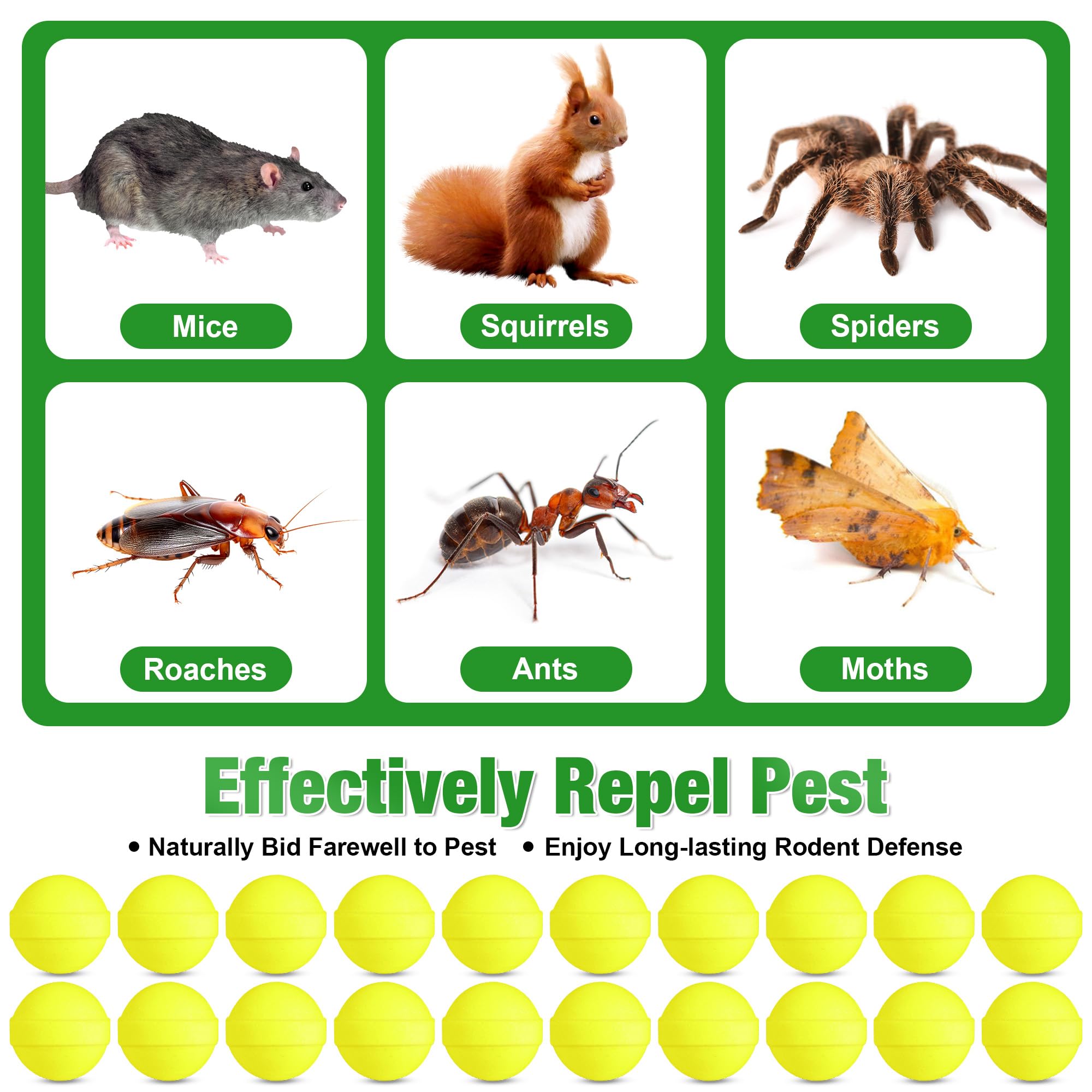 YJOO indoor-outdoor use, versatile pest protection for homes and sheds.