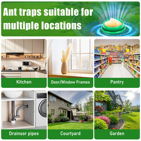 YJOO long-lasting ant bait stations keep key areas protected indoors and outdoors.