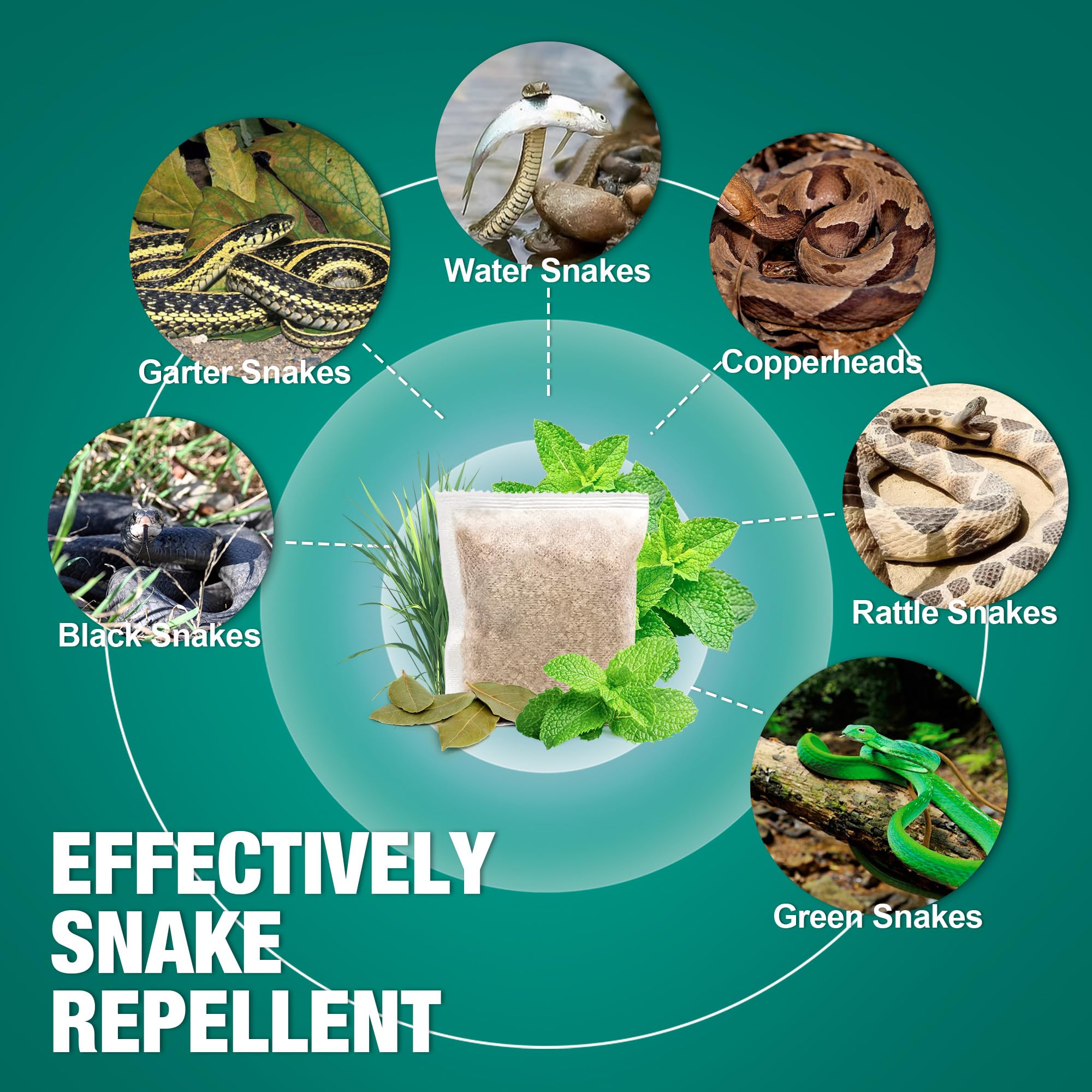 YJOO Snake Repellent yard outdoor application shown keeping snakes away naturally