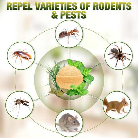 YJOO spider repellent balls in garage area provide lasting indoor-outdoor protection