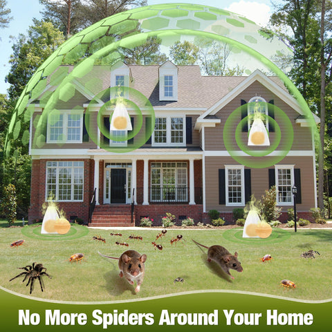YJOO backyard patio placement promotes less inviting space for pests