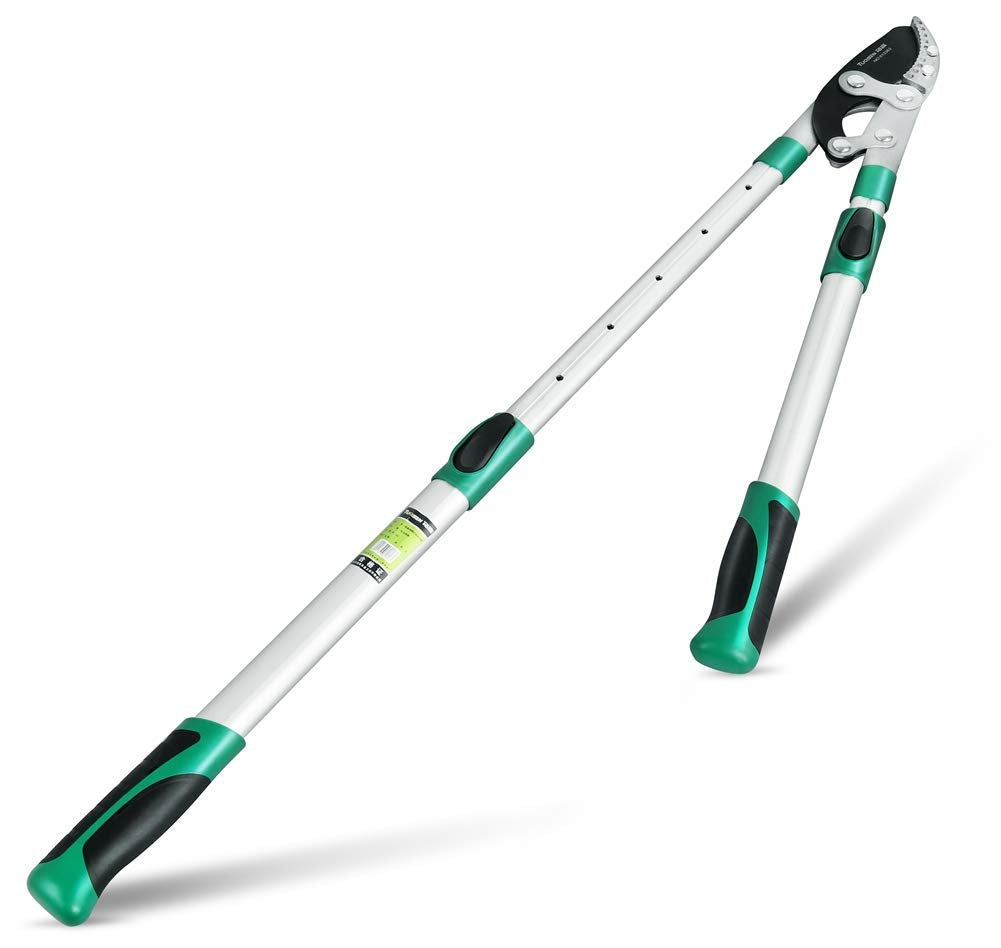 Ymachray heavy-duty anvil lopping shears with 2-inch cut capacity for clean pruning.