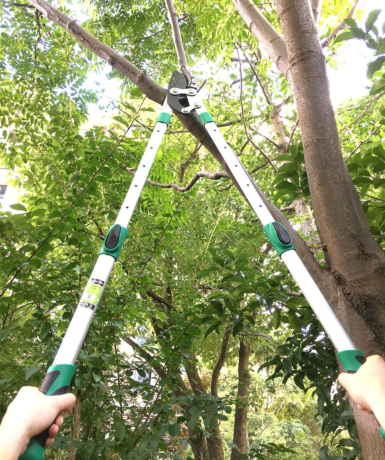 Ymachray low-friction coating lets blades glide through branches.