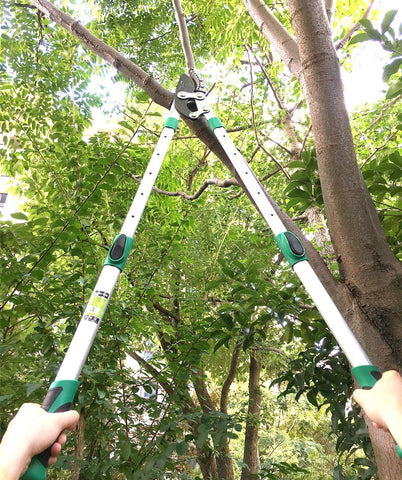 Ymachray low-friction coating lets blades glide through branches.