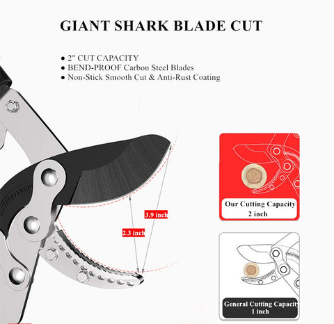 Ymachray telescopic handle extended to reach higher limbs with less effort.