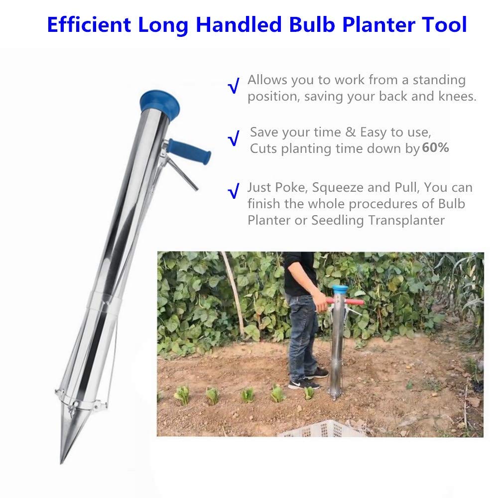 Ymachray wide funnel for easy seedling filling