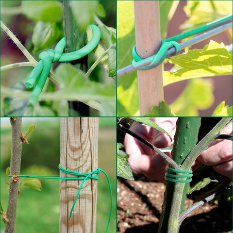 YMHB tomato-vine tie provides unobtrusive support for healthy growth.