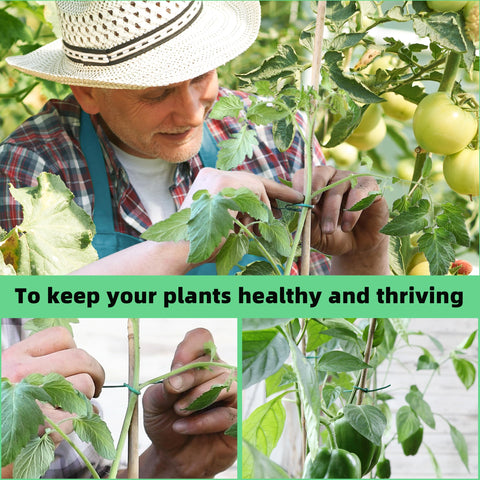 YMHB versatile garden tie suitable for tomatoes, fences, and decorative projects.