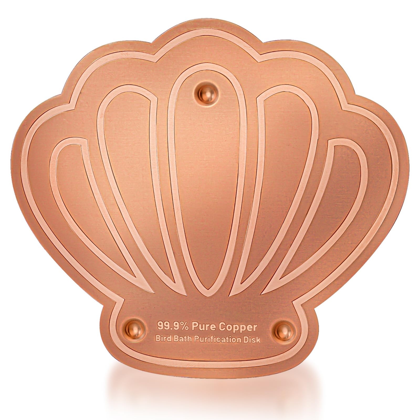 Yncotte copper disk in a bird bath showing easy setup and low maintenance.
