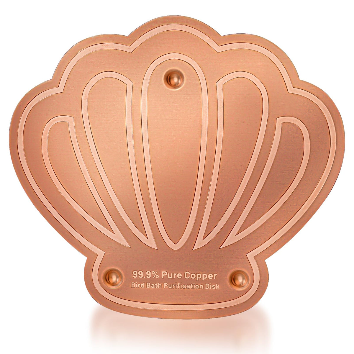 Yncotte copper disk in a bird bath showing easy setup and low maintenance.