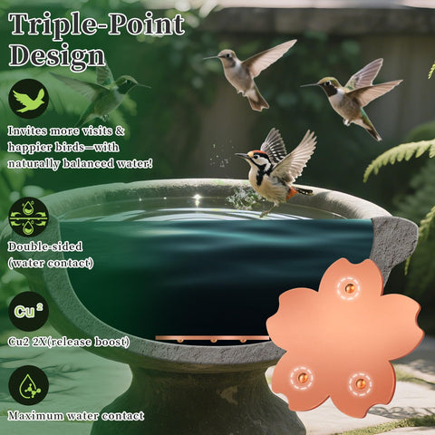 Yncotte copper disk all-season performance for outdoor baths