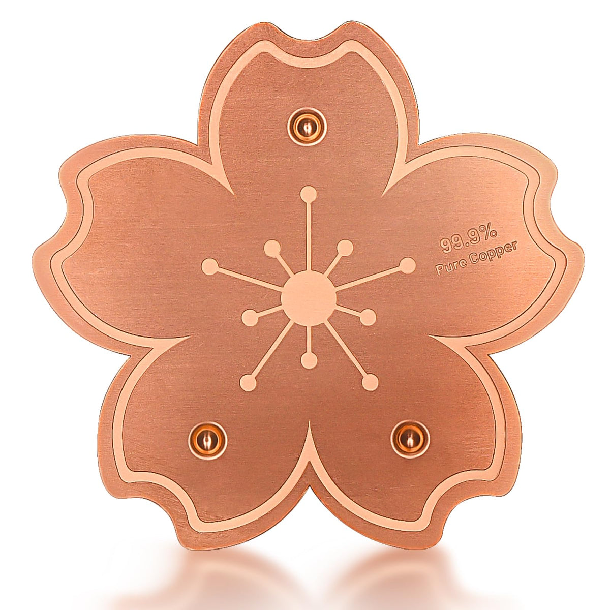 Yncotte copper disk in water purifies bird bath for clear drinking water