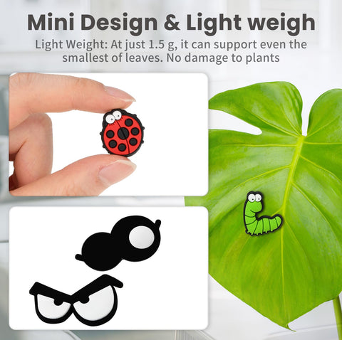 Yncotte smiling face magnet on a succulent adds playful personality to greenery.