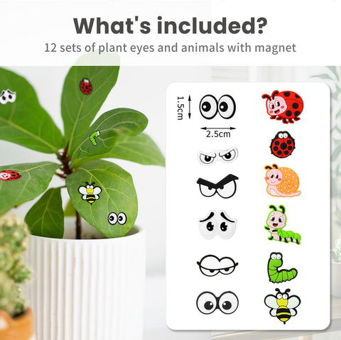 Yncotte gift-ready magnets on packaging for plant lovers and friends.
