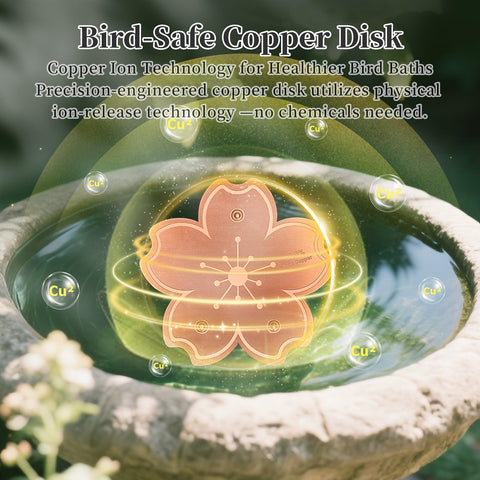 Triple-point support keeps the disk in full water contact