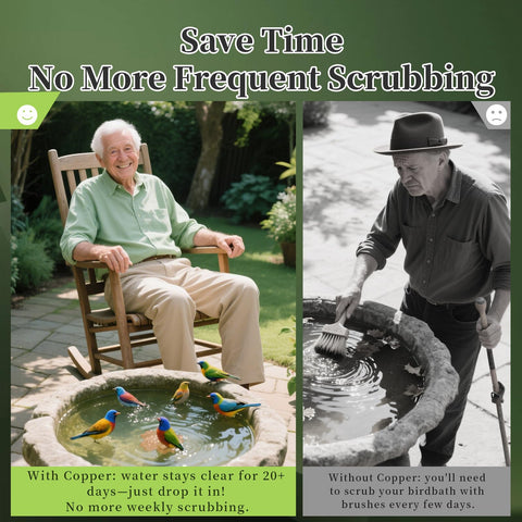 Water clarity in a bird bath with Yncotte disk