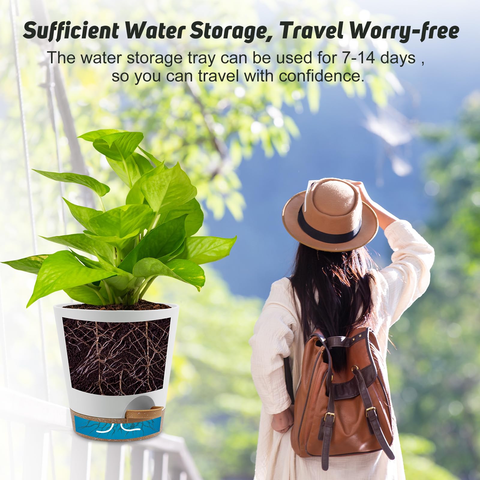 YNNICO 8-inch gift ready packaging for plant lovers