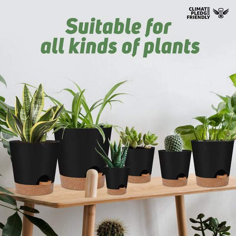 YNNICO bottom tray and reservoir illustrate the self-watering system for mess-free watering.