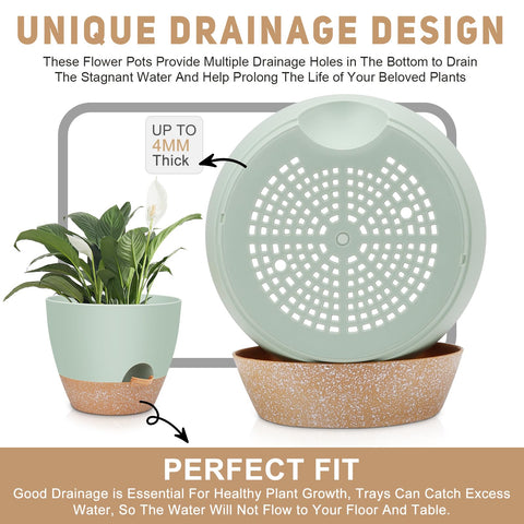 YNNICO deep planting space supports larger plants and fuller growth.