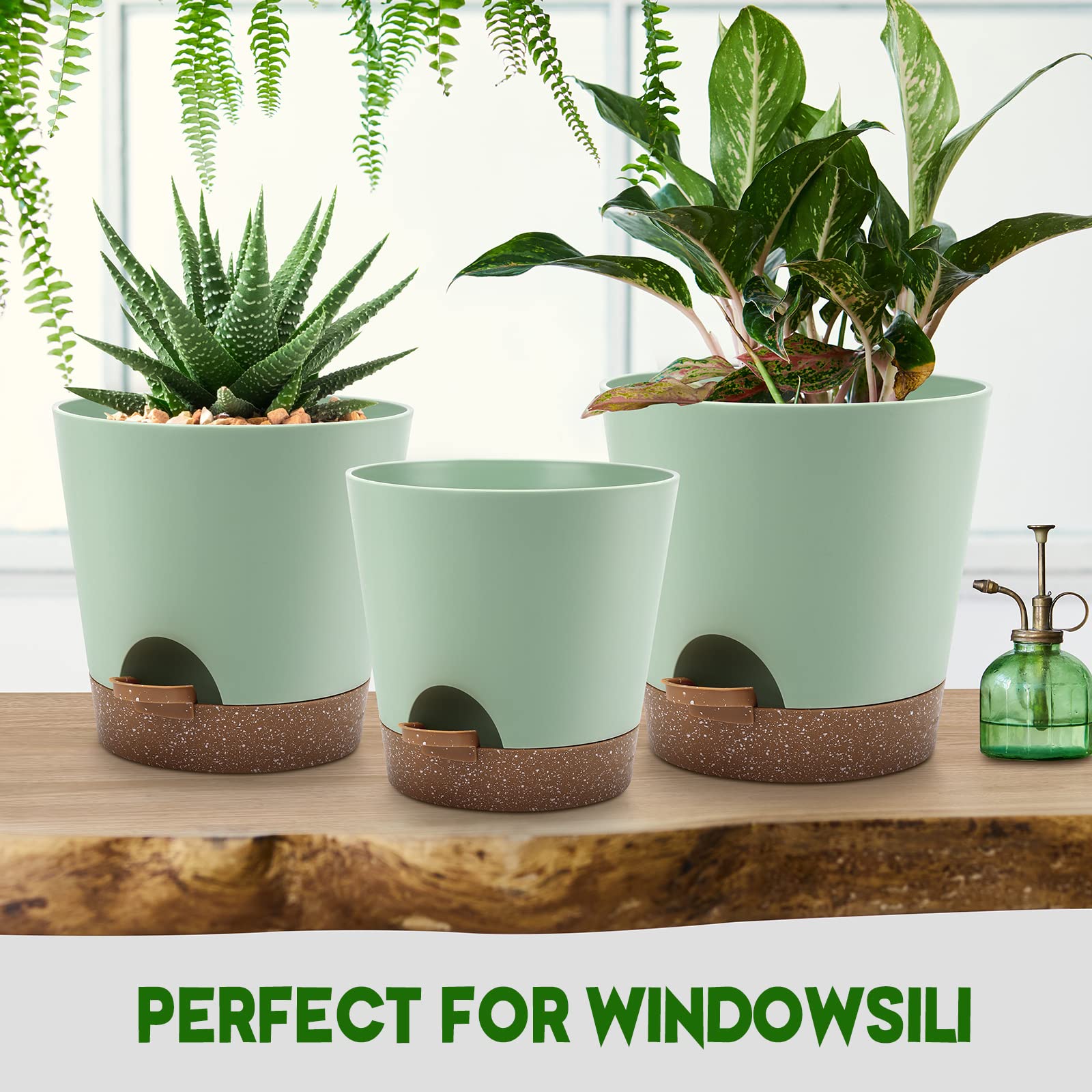 YNNICO home office plant setup with three sizes for versatile plant arrangements