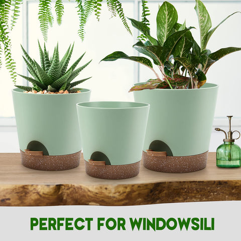 YNNICO home office plant setup with three sizes for versatile plant arrangements