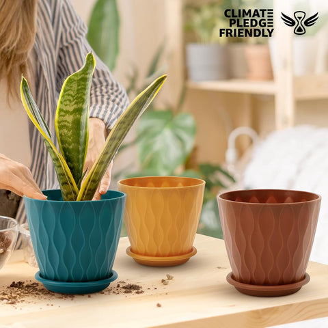 YNNICO indoor-outdoor plant pot with drainage tray.