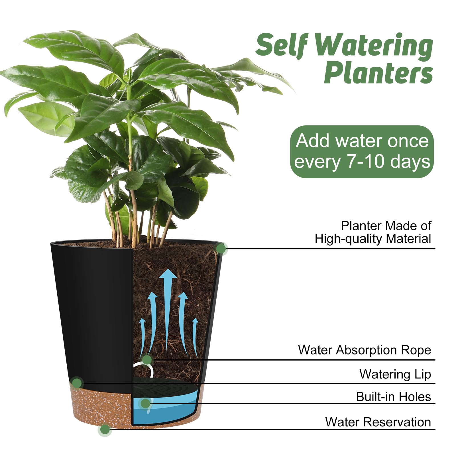 YNNICO 5.5-inch planter with drainage holes for compact greenery solutions.