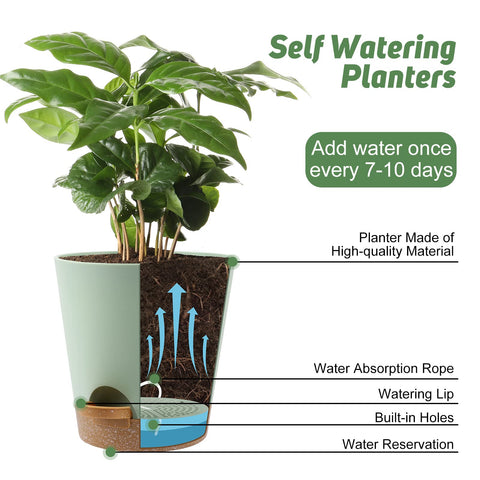 YNNICO 5.5-inch green self-watering planter with saucer