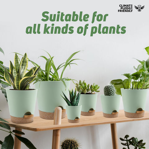 YNNICO six-piece green planter set with drainage holes and saucers for indoor plants