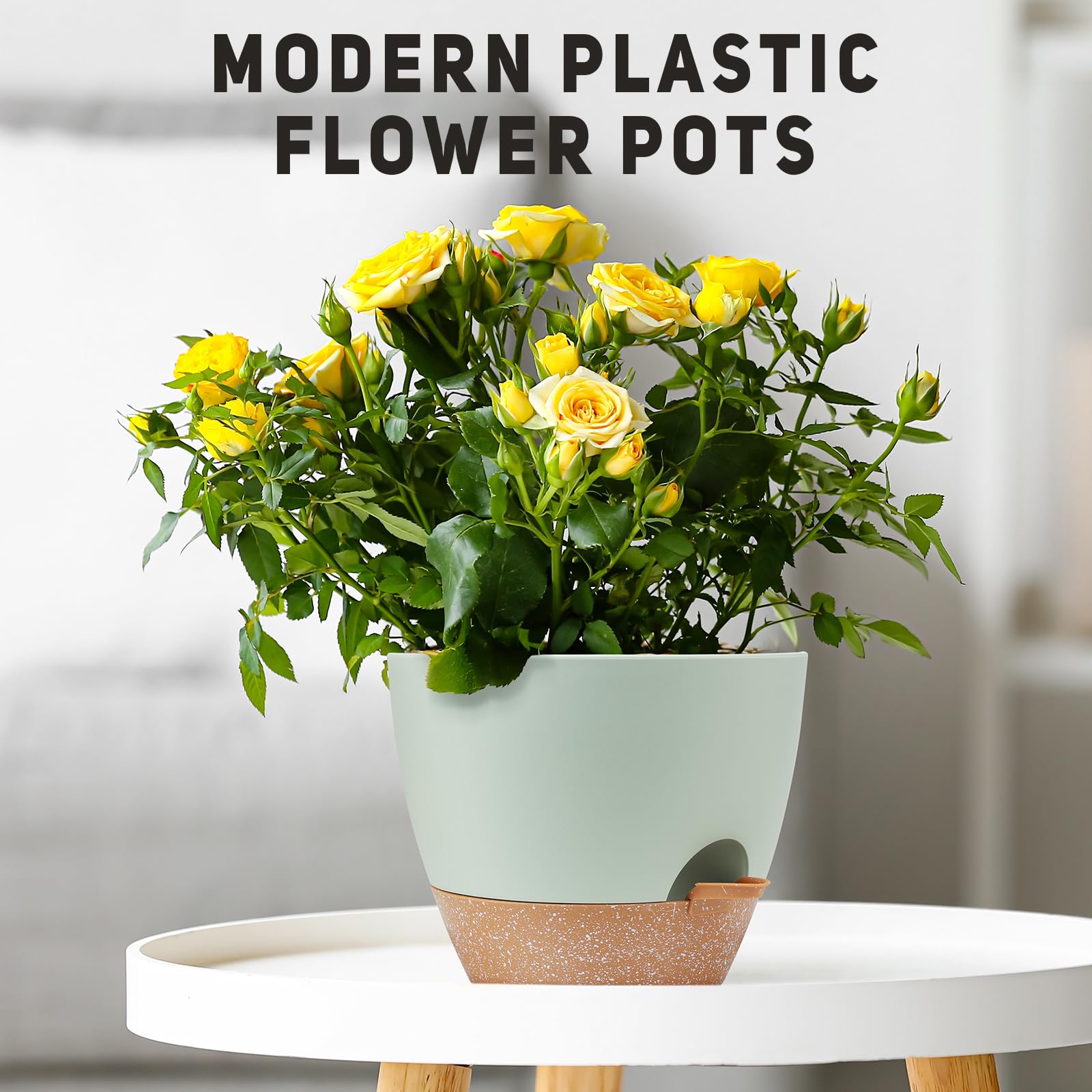 YNNICO kitchen or office decor planter brings greenery to work or home.