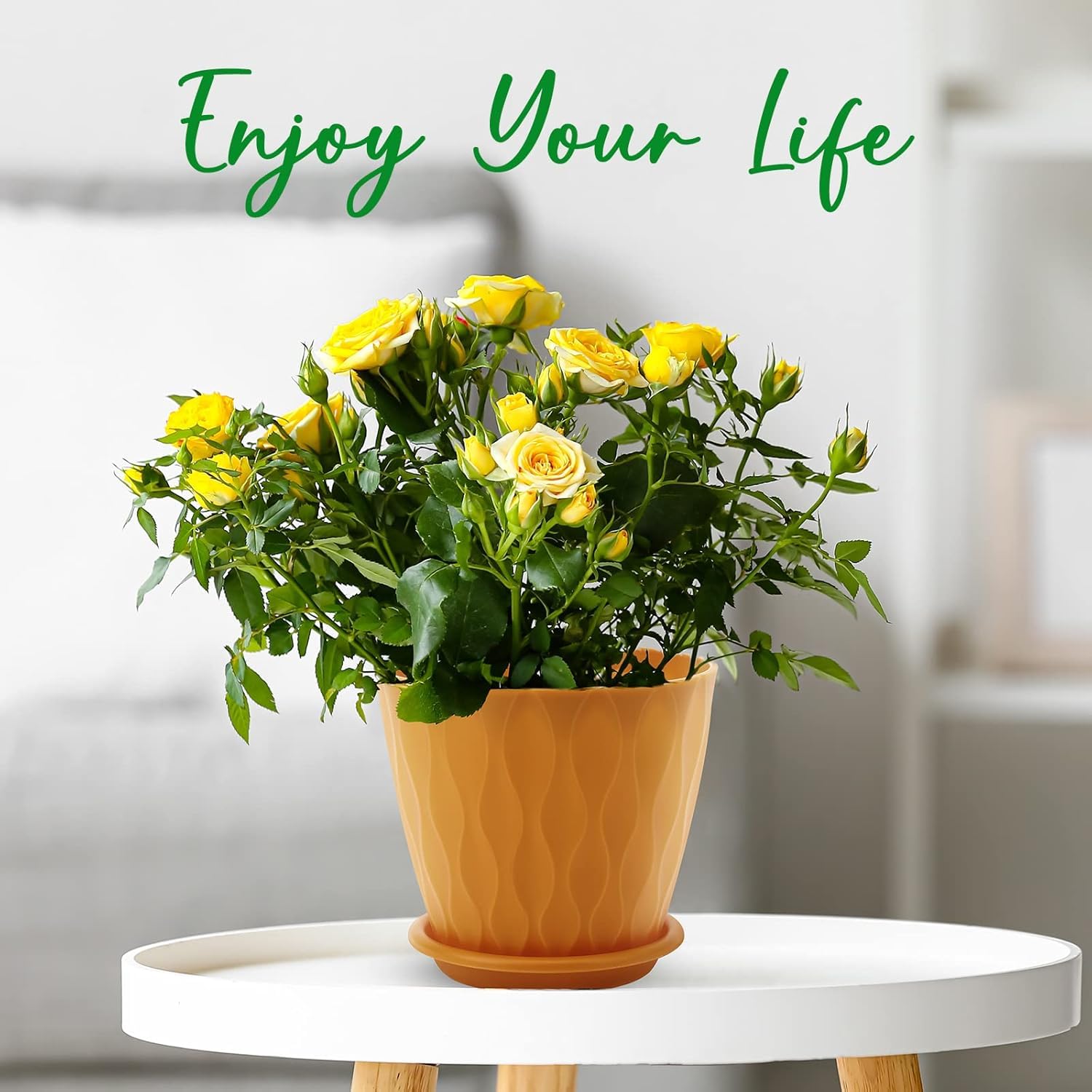 YNNICO modern minimalist 6-inch plant pot for stylish spaces.