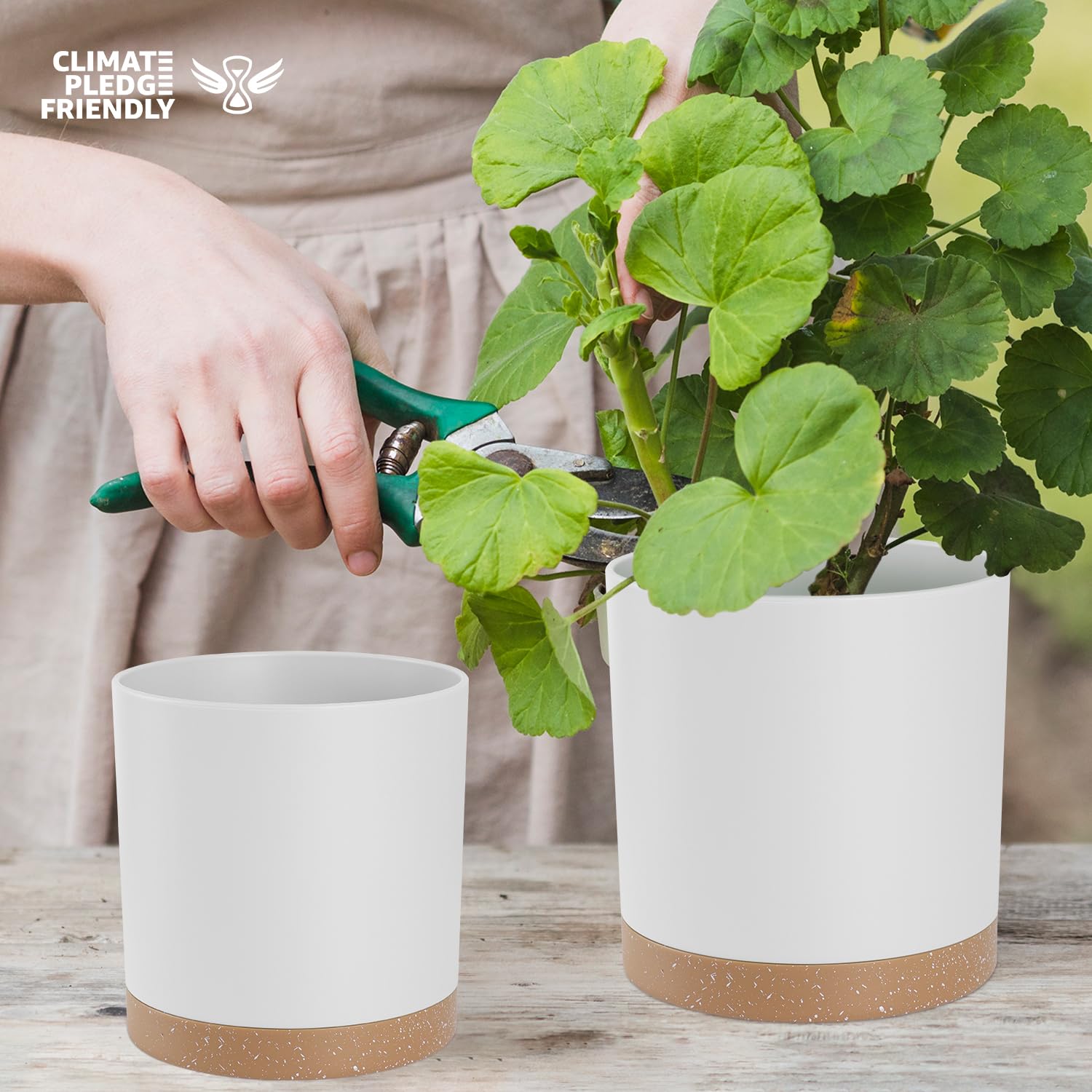 YNNICO 4-inch white matte planter with drainage to house small plants neatly.