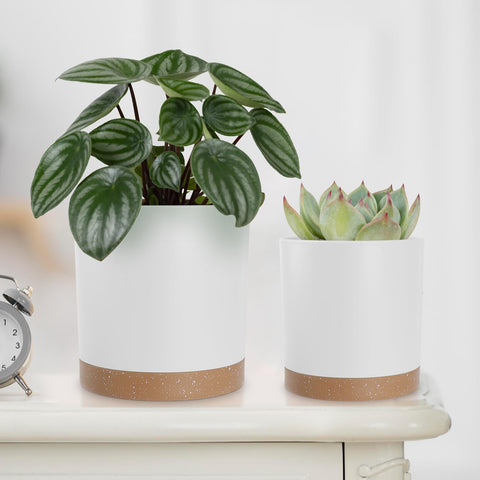 YNNICO 5-inch white matte pot with drainage for indoor herb or succulent display.