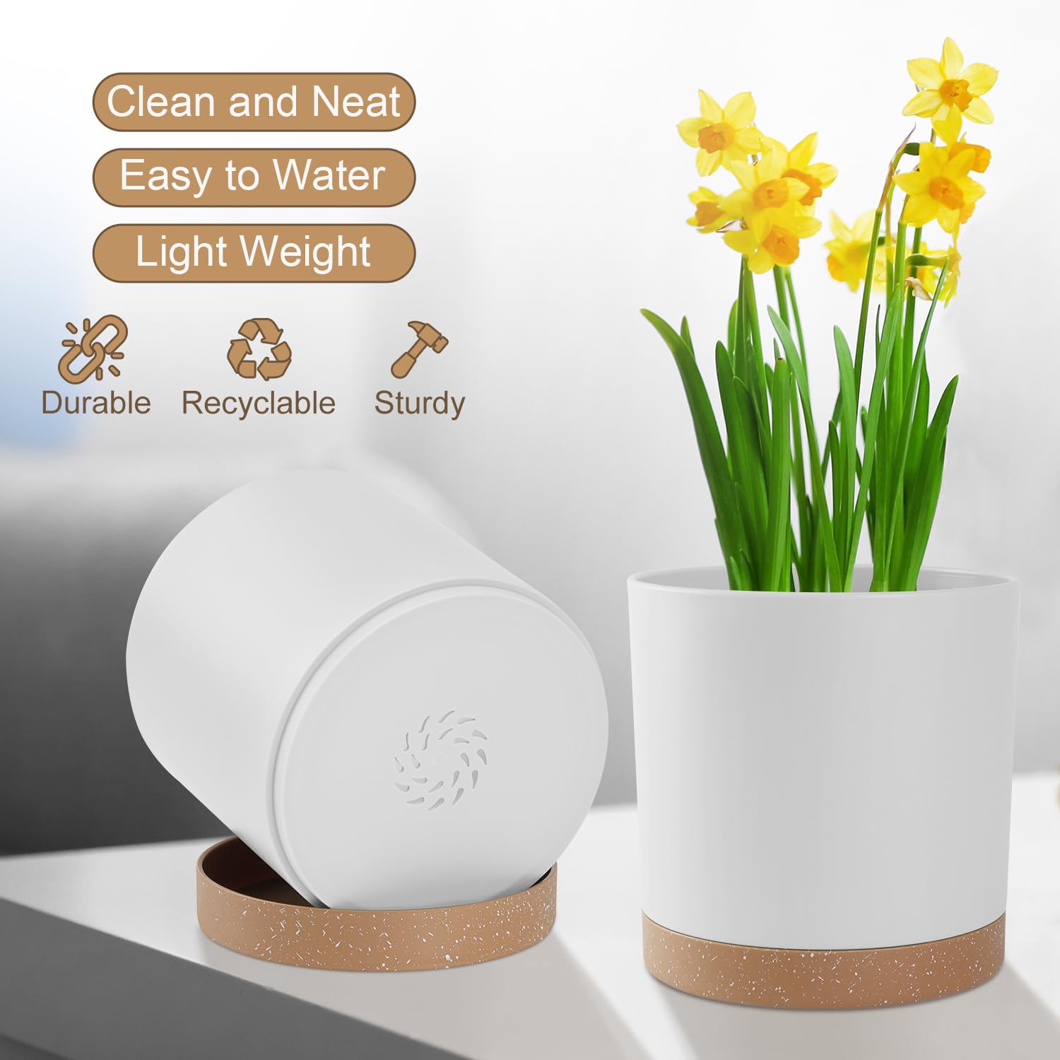 YNNICO 6-inch white matte planter with drainage holes supports healthy root growth.