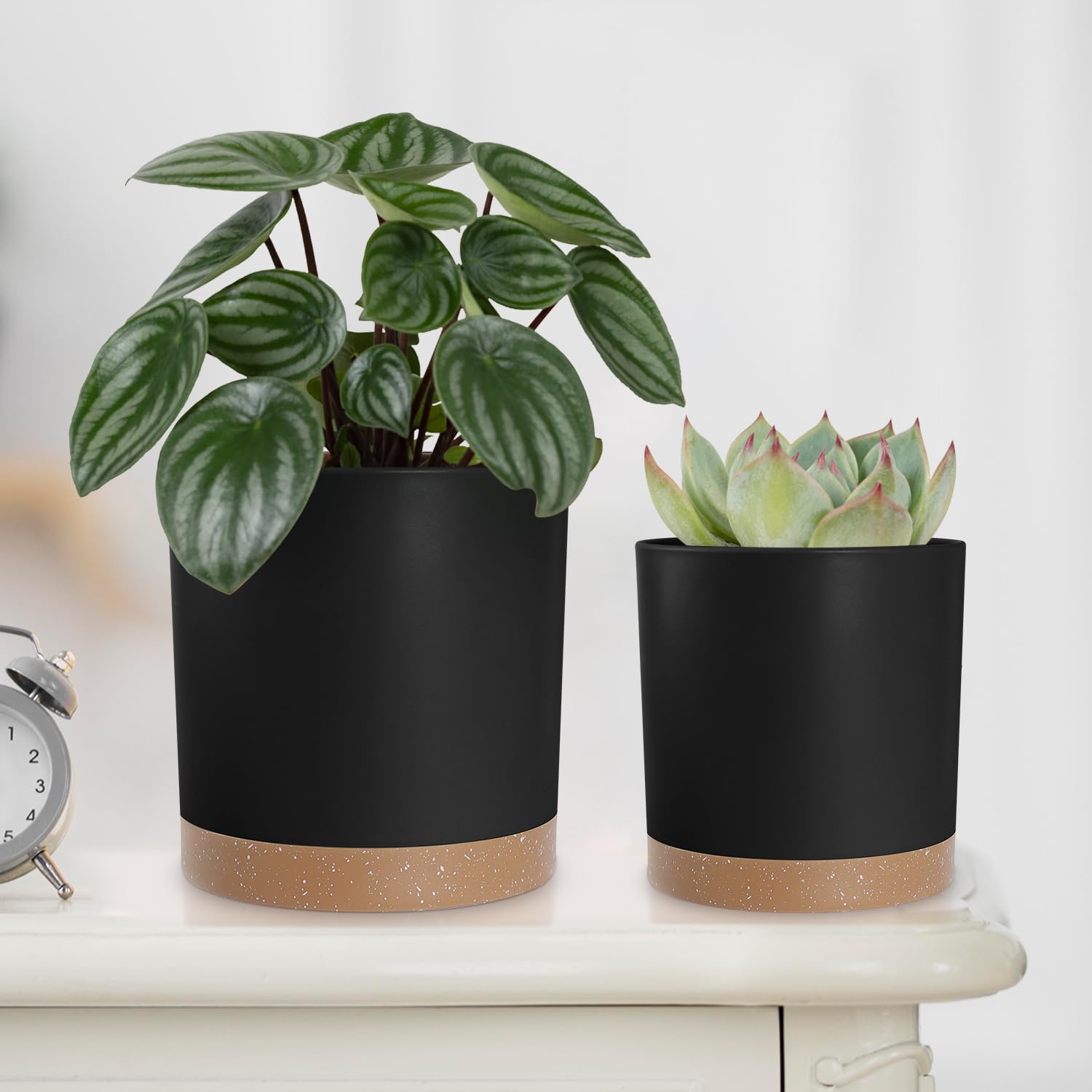 YNNICO set supports indoor outdoor planting from succulents to herbs