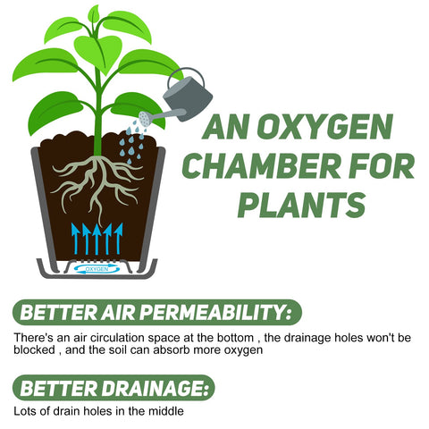 YNNICO 6-inch white planter with saucer, helps manage spills and water.