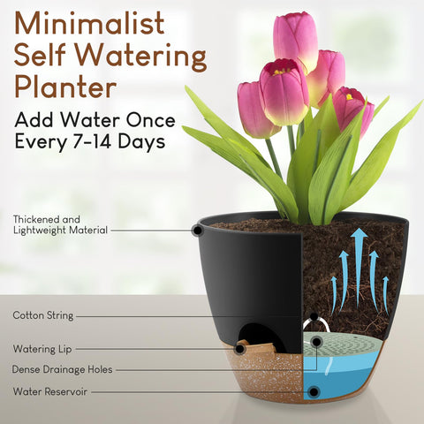 YNNICO 7-5-inch black pot focusing on deep planting space and reservoir access.