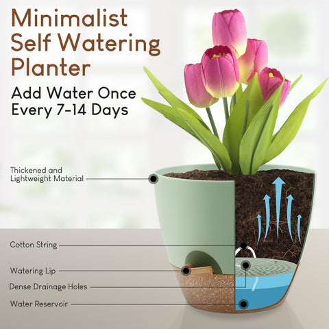 YNNICO self watering pot 7.5-inch with built-in tray.