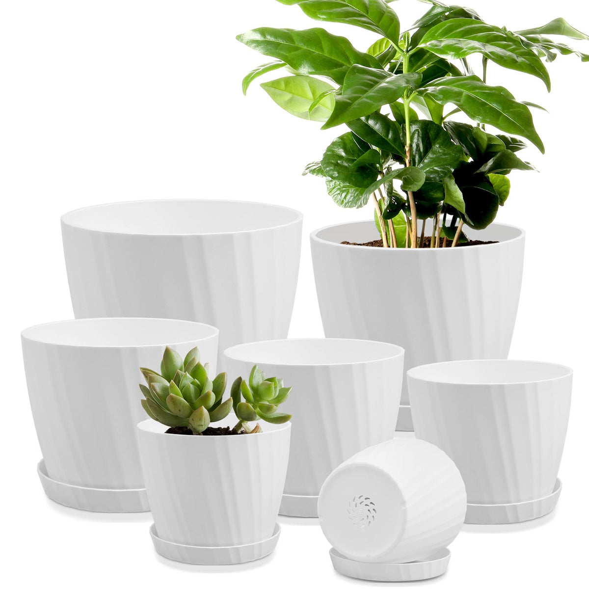 YNNICO 7.5-inch white plant pot with drainage holes, ideal for room plant setups.