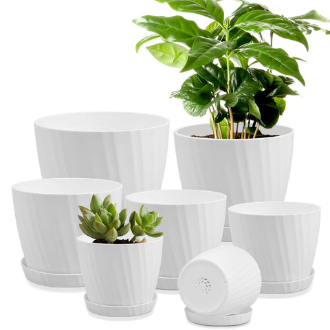 YNNICO 7.5-inch white plant pot with drainage holes, ideal for room plant setups.