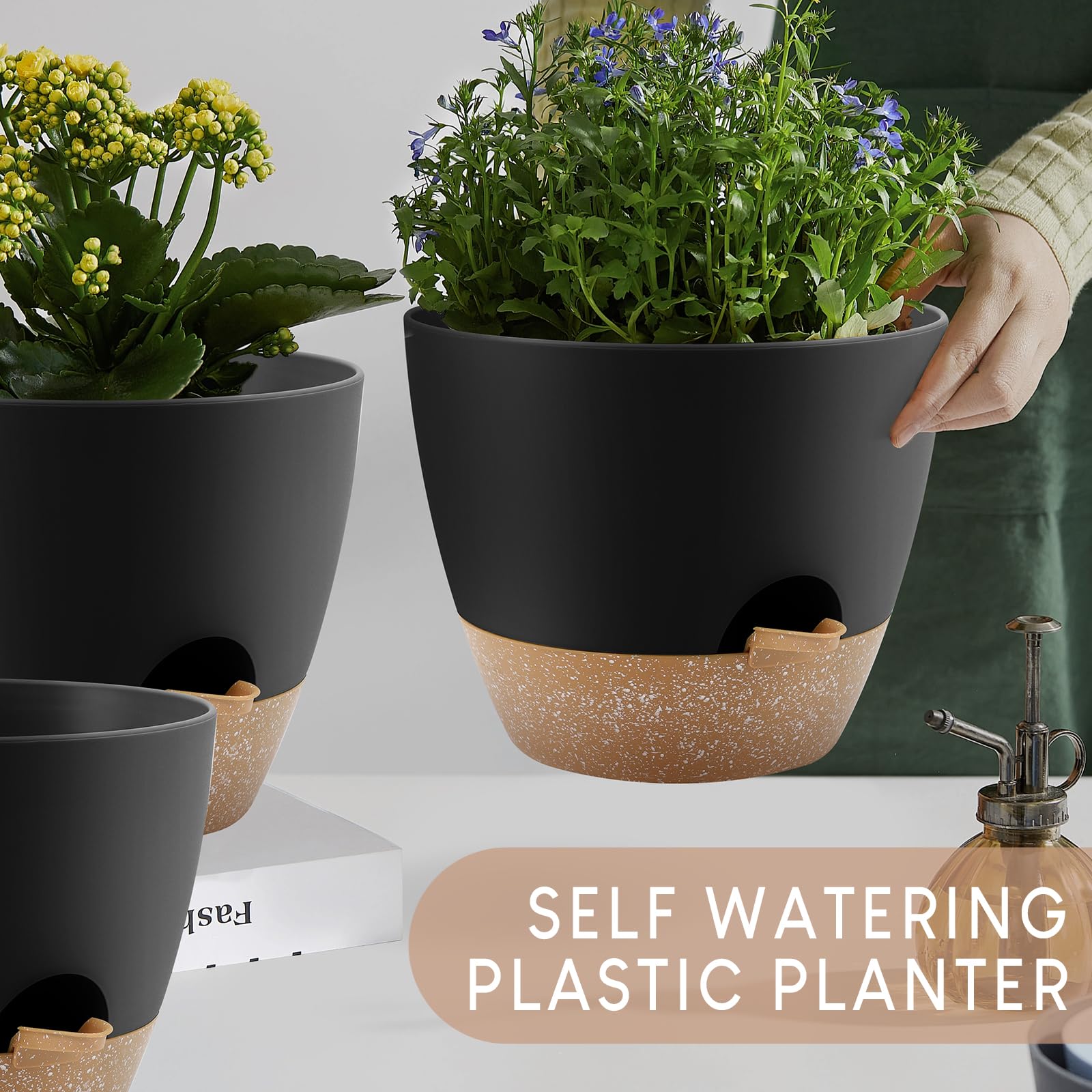 Removable tray and watering feeder in a black YNNICO pot for easy care.