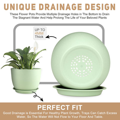 YNNICO planters showcased on windowsill for home decor