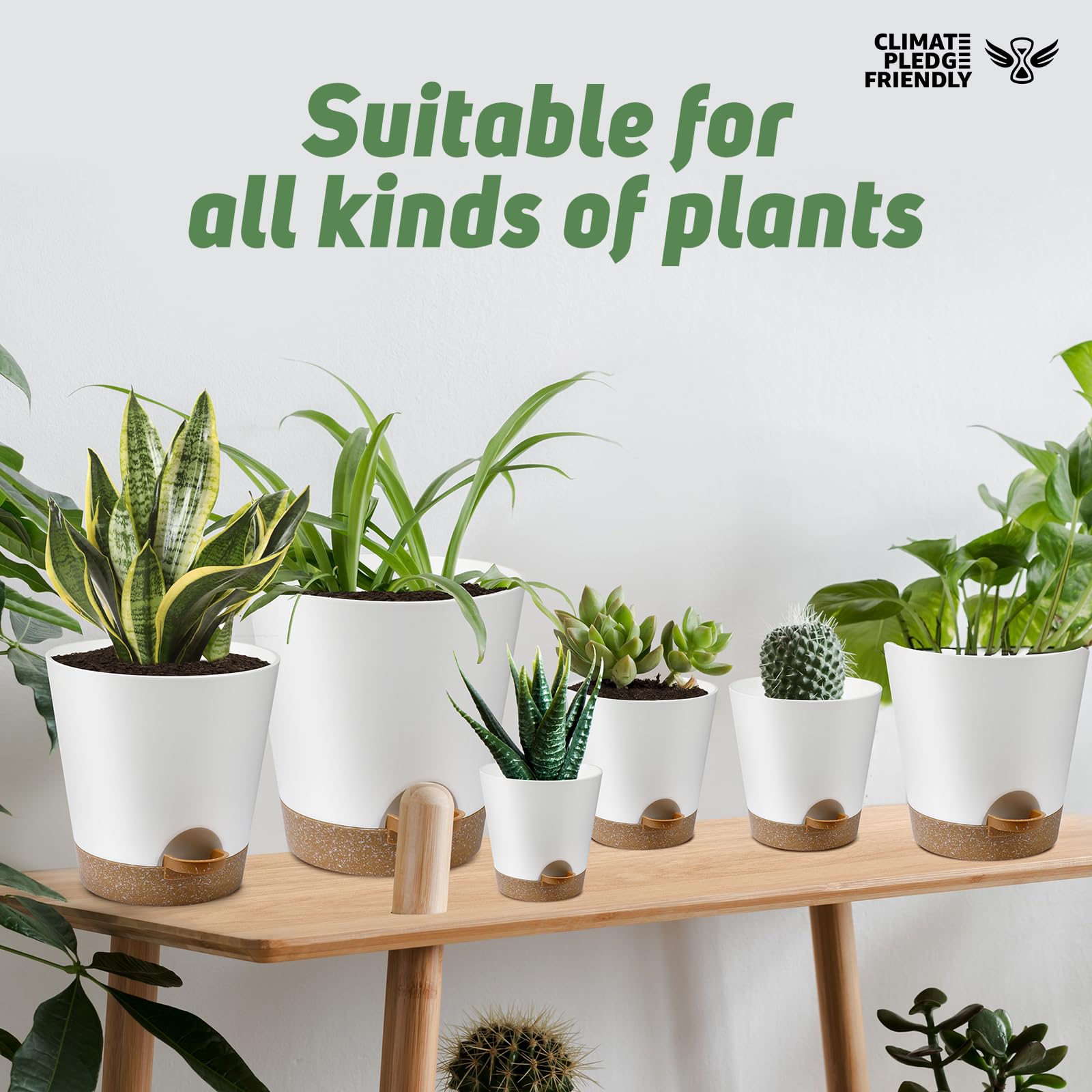 YNNICO planters with saucer system in white for mess-free watering.