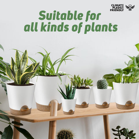 YNNICO planters with saucer system in white for mess-free watering.