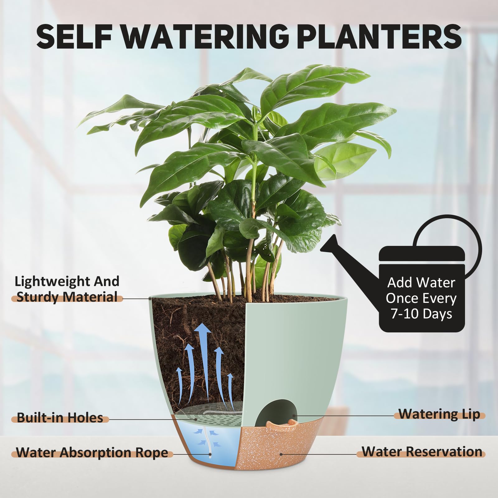 YNNICO removable tray enables bottom watering to prevent overwatering.