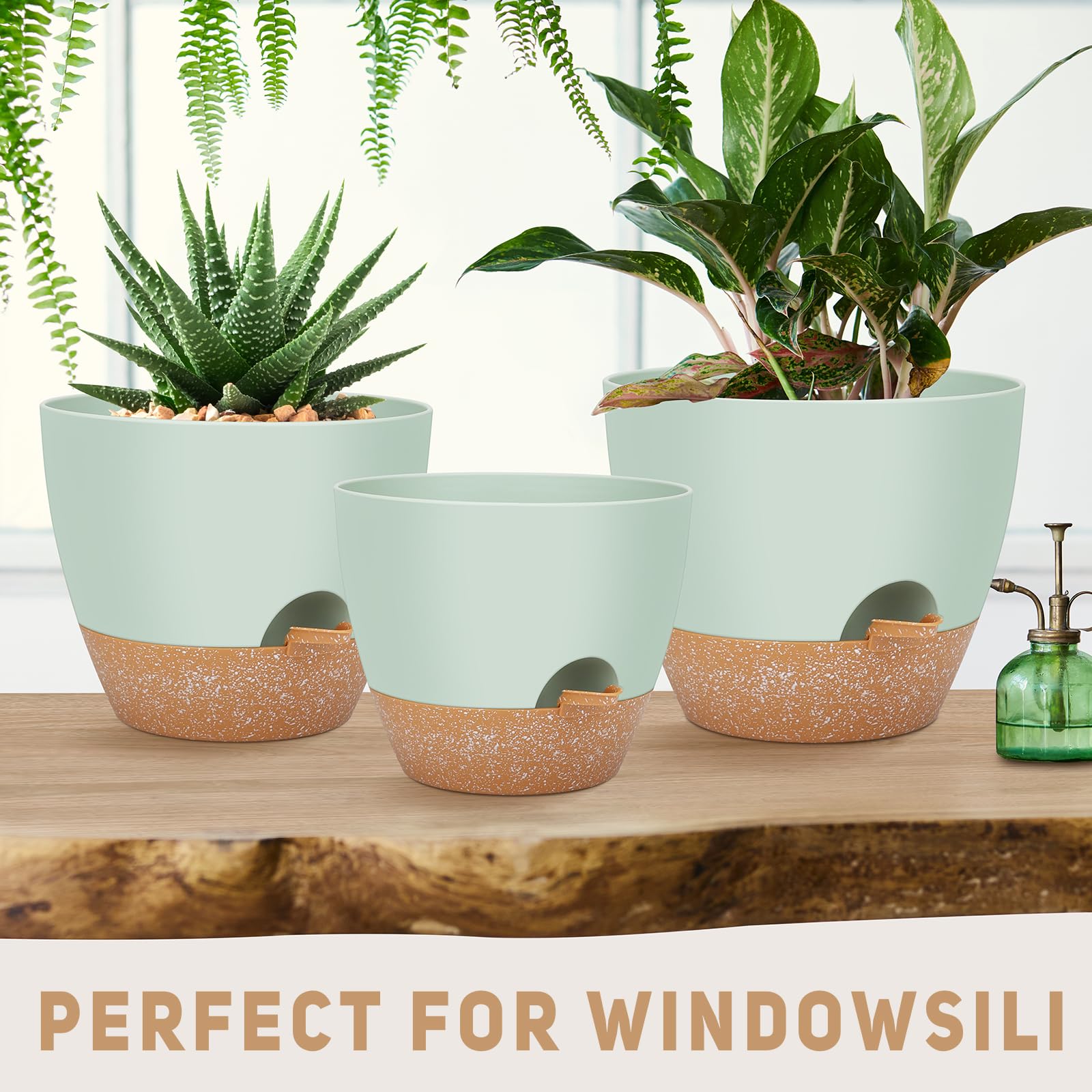 YNNICO removable feeder and bottom reservoir for easy watering.