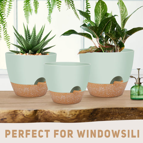 YNNICO removable feeder and bottom reservoir for easy watering.